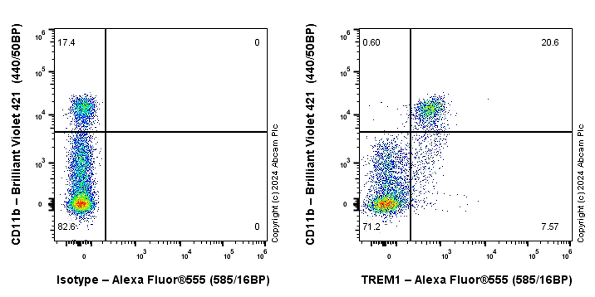 Flow Cytometry - Alexa Fluor® 555 Anti-TREM1 antibody [EPR26207-34] (AB316942), expandable thumbnail