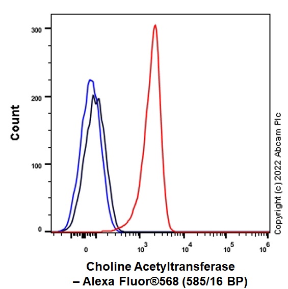 Flow Cytometry (Intracellular) - Alexa Fluor® 568 Anti-Choline Acetyltransferase antibody [EPR13024(B)] (AB302805), expandable thumbnail