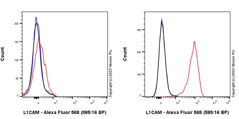 Flow Cytometry - Alexa Fluor® 568 Anti-L1CAM antibody [EPR23241-224] (AB315361)