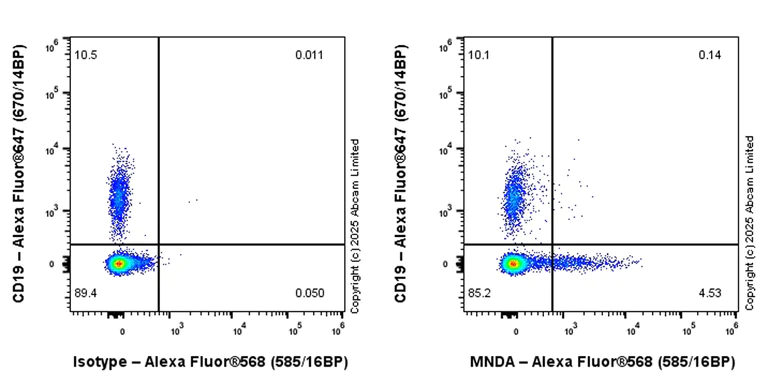Flow Cytometry (Intracellular) - Alexa Fluor® 568 Rabbit IgG, monoclonal [EPR25A] - Isotype Control (AB209613)