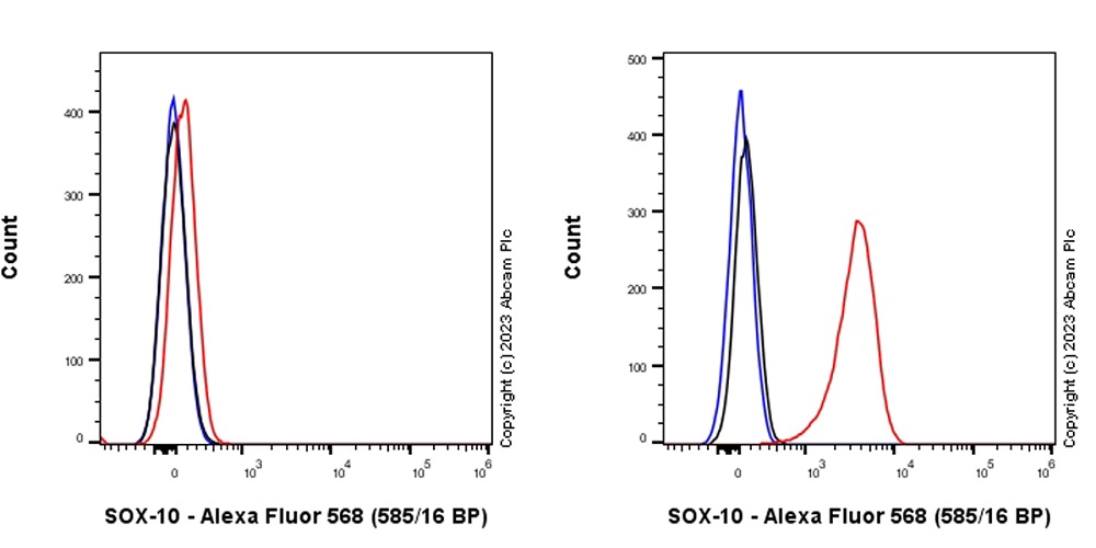 Flow Cytometry (Intracellular) - Alexa Fluor® 568 Anti-SOX10 antibody [SP267] (AB313897), expandable thumbnail