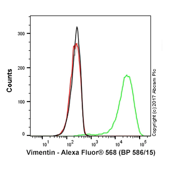 Anti-Vimentin Alexa Fluor® 568 antibody [EPR3776] (ab202504) IgG