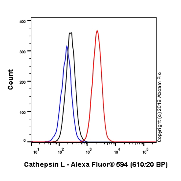 Flow Cytometry (Intracellular) - Alexa Fluor® 594 Anti-Cathepsin L/V/K/H antibody [EPR8011] (AB208073), expandable thumbnail