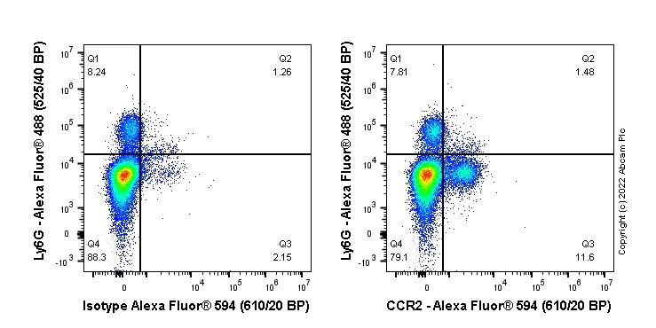 Flow Cytometry - Alexa Fluor® 594 Anti-CCR2 antibody [EPR20844] (AB286808)