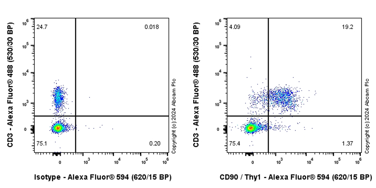 Flow Cytometry - Alexa Fluor® 594 Anti-CD90 / Thy1 antibody [EPR28145-53] (AB317533), expandable thumbnail