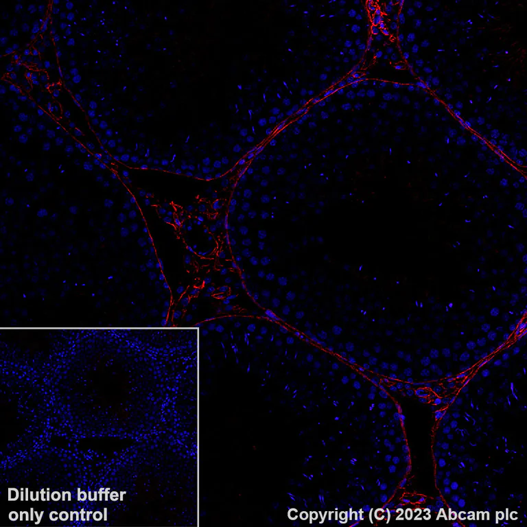 【美品】ALBIT GFD-1 美品】ALBIT GFD-1