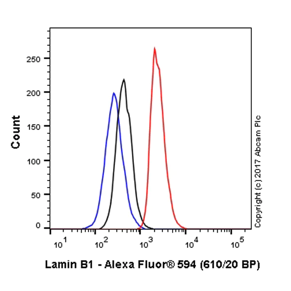 Flow Cytometry - Alexa Fluor® 594 Anti-Lamin B1 antibody [EPR8985(B)] - Nuclear Envelope Marker (AB216723)