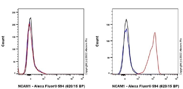 Flow Cytometry - Alexa Fluor® 594 Anti-NCAM1 antibody [EPR21827] (AB303720)