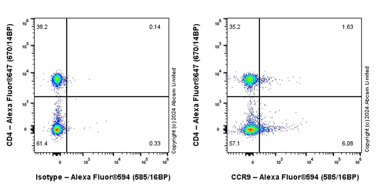 Alexa Fluor® 594 conjugated Anti- Rabbit IgG, monoclonal [EPR25A