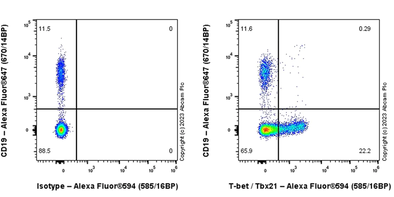 Flow Cytometry (Intracellular) - Alexa Fluor® 594 Rabbit IgG, monoclonal [EPR25A] - Isotype Control (AB208568)