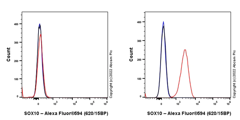 Flow Cytometry - Alexa Fluor® 594 Anti-SOX10 antibody [SP267] (AB311668)