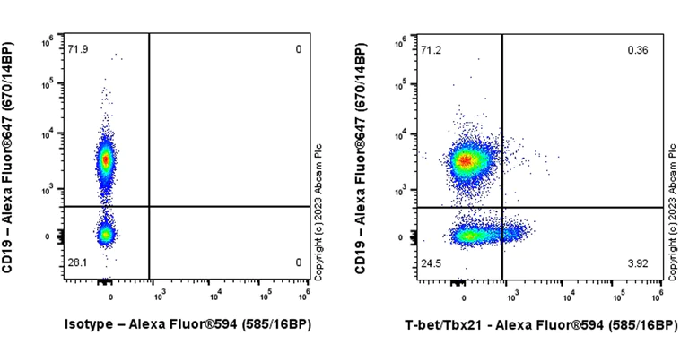 Flow Cytometry (Intracellular) - Alexa Fluor® 594 Anti-T-bet / Tbx21 antibody [EPR27094-16] (AB315425)