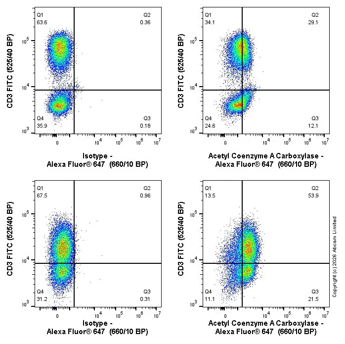 Flow Cytometry (Intracellular) - Alexa Fluor® 647 Anti-Acetyl Coenzyme A Carboxylase antibody [EPR23235-147] (AB326245)