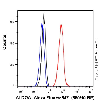 Flow Cytometry (Intracellular) - Alexa Fluor® 647 Anti-Aldolase antibody [EPR23181-39] (AB275162)