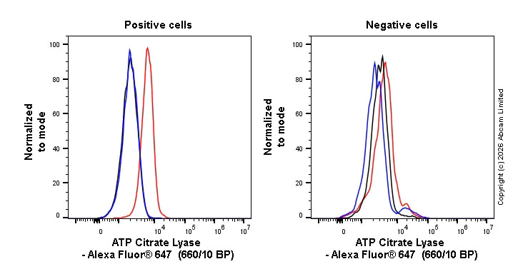 Flow Cytometry (Intracellular) - Alexa Fluor® 647 Anti-ATP citrate lyase antibody [EP704Y] (AB205430)