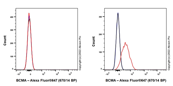 Flow Cytometry - Alexa Fluor® 647 Anti-BCMA antibody [EPR22457-260] (AB300094)