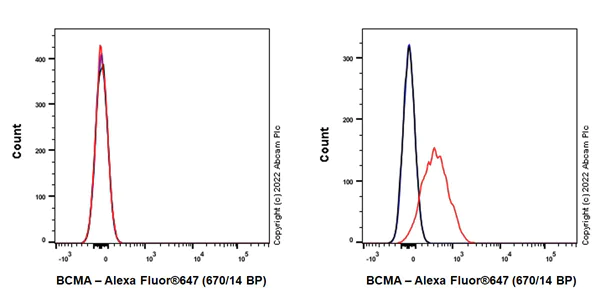 Flow Cytometry - Alexa Fluor® 647 Anti-BCMA antibody [EPR22457-260] (AB300094)