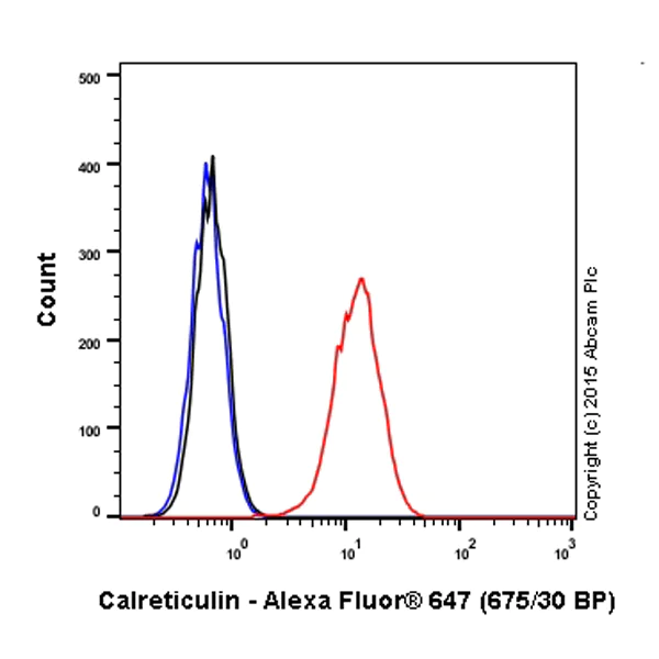 Anti-calreticulin - Alexa Fluor® 647 antibody [EPR3924