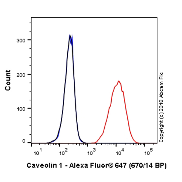 Flow Cytometry (Intracellular) - Alexa Fluor® 647 Anti-Caveolin-1 antibody [EPR15554] - N-terminal - Caveolae Marker (AB225381), expandable thumbnail