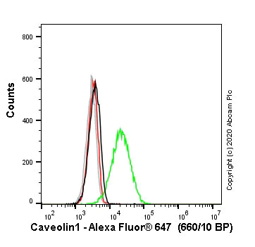 Flow Cytometry (Intracellular) - Alexa Fluor® 647 Anti-Caveolin-1 antibody [EPR15554] - N-terminal - Caveolae Marker (AB225381)