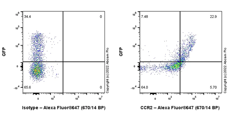 Flow Cytometry - Alexa Fluor® 647 Anti-CCR2 antibody [EPR20844-15] (AB302666)
