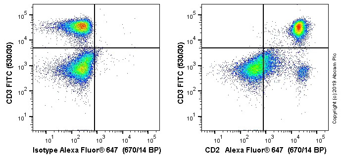 Flow Cytometry - Alexa Fluor® 647 Anti-CD2 antibody [OX34] (AB256295)