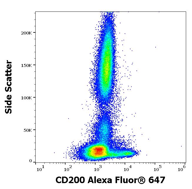 Flow Cytometry - Alexa Fluor® 647 Anti-CD200 / OX2 antibody [OX-104] (AB270662), expandable thumbnail