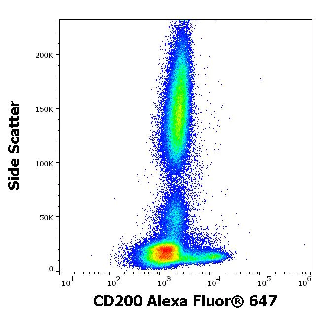 Flow Cytometry - Alexa Fluor® 647 Anti-CD200 / OX2 antibody [OX-104] (AB270662)