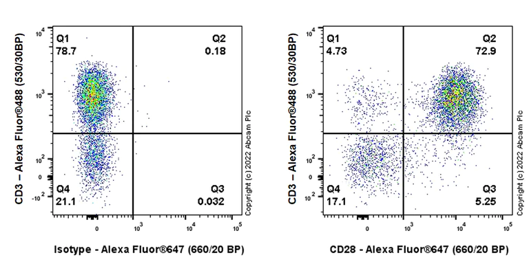 Flow Cytometry - Alexa Fluor® 647 Anti-CD28 antibody [EPR24592-5] (AB300095)