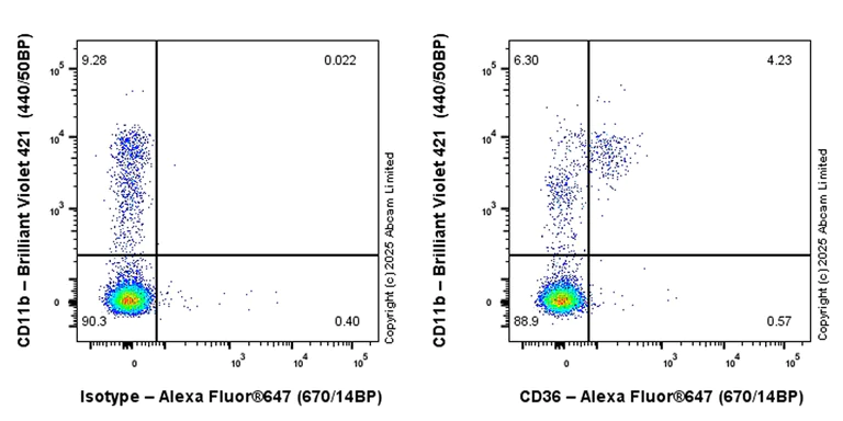 Flow Cytometry - Alexa Fluor® 647 Anti-CD36 antibody [EPR27433-40] (AB323894)