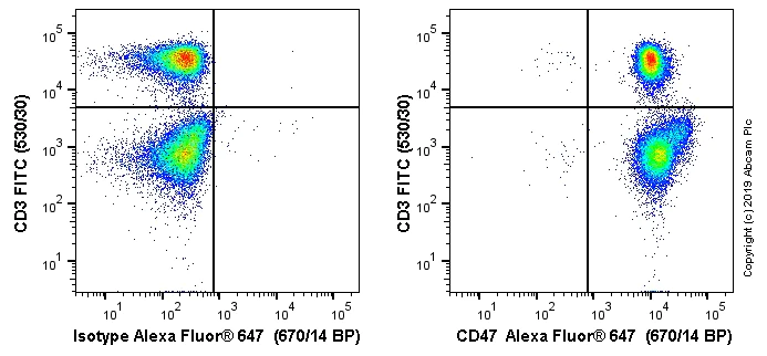 Flow Cytometry - Alexa Fluor® 647 Anti-CD47 antibody [OX-101] (AB256291)