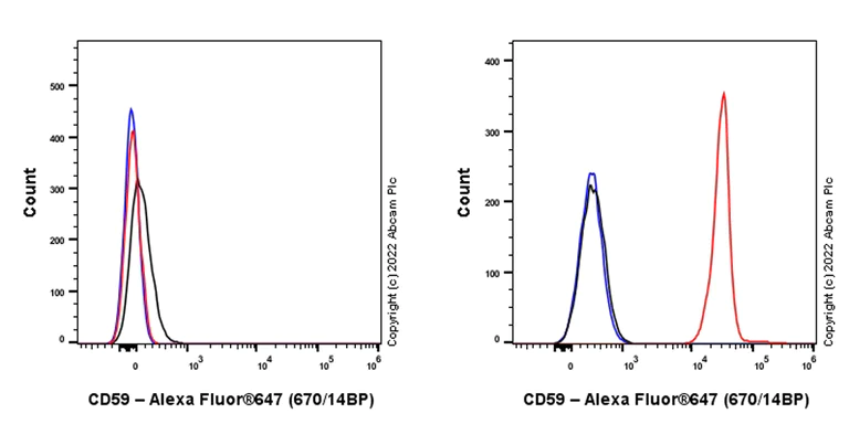 Flow Cytometry - Alexa Fluor® 647 Anti-CD59 antibody [EPR22394-242] (AB307169)