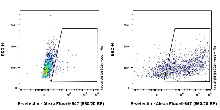 Flow Cytometry - Alexa Fluor® 647 Anti-CD62E antibody [EPR25616-62] (AB317060)