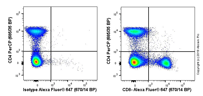 Anti-CD8 alpha Alexa Fluor® 647 antibody [EPR21769] (ab237365