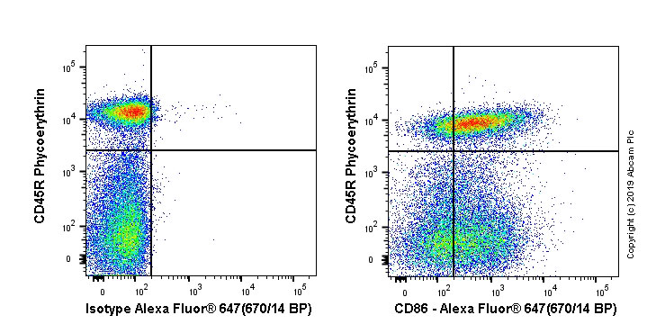Flow Cytometry - Alexa Fluor® 647 Anti-CD86 antibody [OX48] (AB256271)