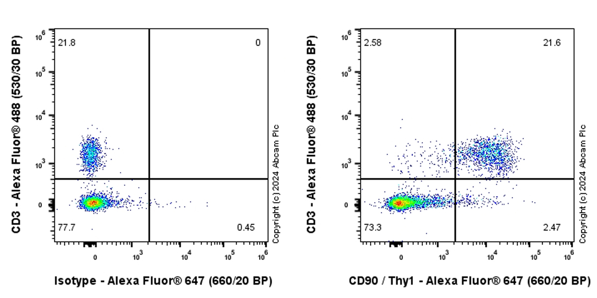 Flow Cytometry - Alexa Fluor® 647 Anti-CD90 / Thy1 antibody [EPR28145-53] (AB317534), expandable thumbnail