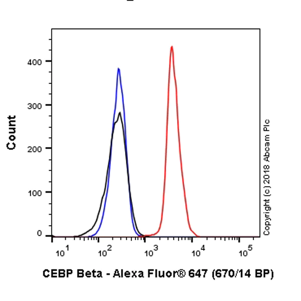 Flow Cytometry (Intracellular) - Alexa Fluor® 647 Anti-CEBP Beta antibody [E299] (AB237415)