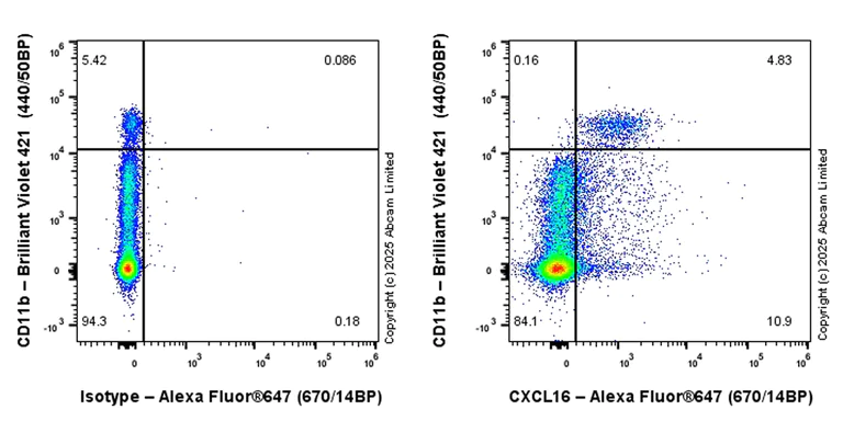 Flow Cytometry - Alexa Fluor® 647 Anti-CXCL16 antibody [EPR29713-506] (AB324078)