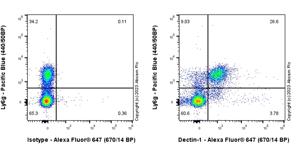 Flow Cytometry - Alexa Fluor® 647 Anti-Dectin-1 antibody [EPR25360-64] (AB314813), expandable thumbnail