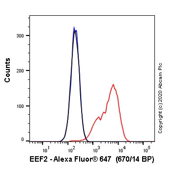 Flow Cytometry (Intracellular) - Alexa Fluor® 647 Anti-EEF2/Elongation factor 2 antibody [EP880Y] (AB252109)