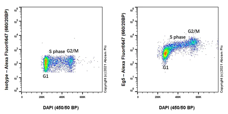 Flow Cytometry (Intracellular) - Alexa Fluor® 647 Anti-Eg5 antibody [EPR23276-52] (AB283273)