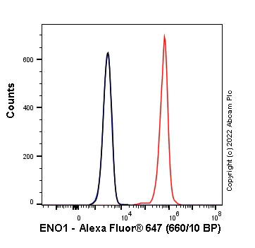 Flow Cytometry (Intracellular) - Alexa Fluor® 647 Anti-ENO1 antibody [EPR19758] (AB303584)