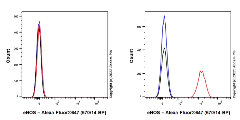 Flow Cytometry (Intracellular) - Alexa Fluor® 647 Anti-eNOS antibody [EPR23750-3] (AB300739)