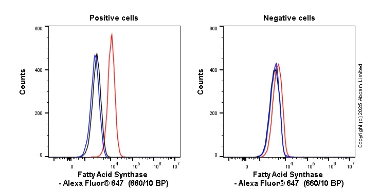 Flow Cytometry (Intracellular) - Alexa Fluor® 647 Anti-Fatty Acid Synthase antibody [EPR7466] (AB319690)