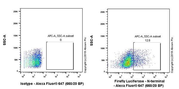 Alexa Fluor® 647 conjugated Anti-Firefly Luciferase antibody