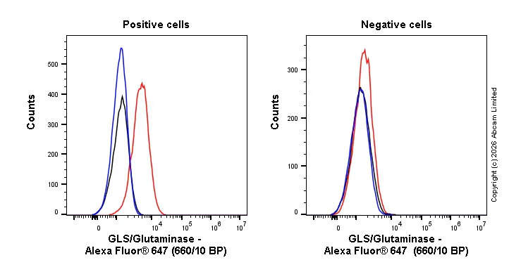 Flow Cytometry (Intracellular) - Alexa Fluor® 647 Anti-GLS/Glutaminase antibody [EPR19525] (AB326270)