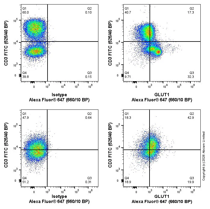 Alexa Fluor® 647 conjugated Anti-Glucose Transporter GLUT1