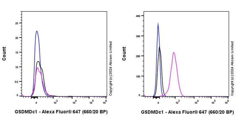 Flow Cytometry (Intracellular) - Alexa Fluor® 647 Anti-GSDMD antibody [EPR20859] (AB319081)