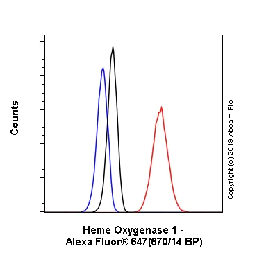 Flow Cytometry (Intracellular) - Alexa Fluor® 647 Anti-Heme Oxygenase 1 antibody [EPR18161-128] (AB237268)