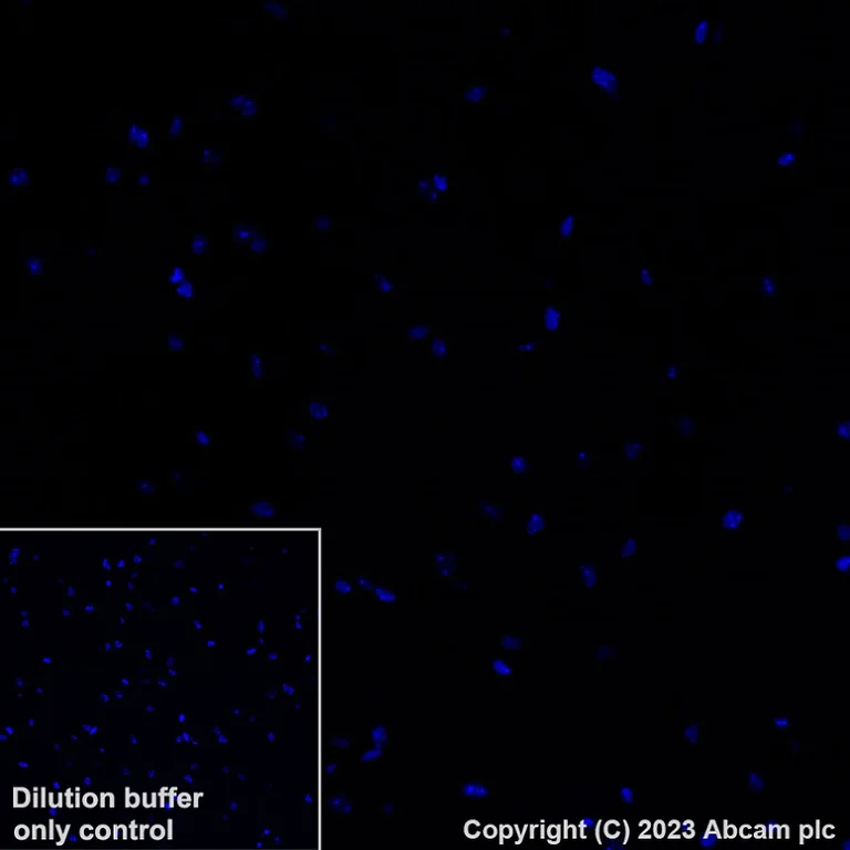 Immunohistochemistry (Formalin/PFA-fixed paraffin-embedded sections) - Alexa Fluor® 647 Anti-Hepcidin + Hepcidin-2 antibody [EPR18937] (AB315258)